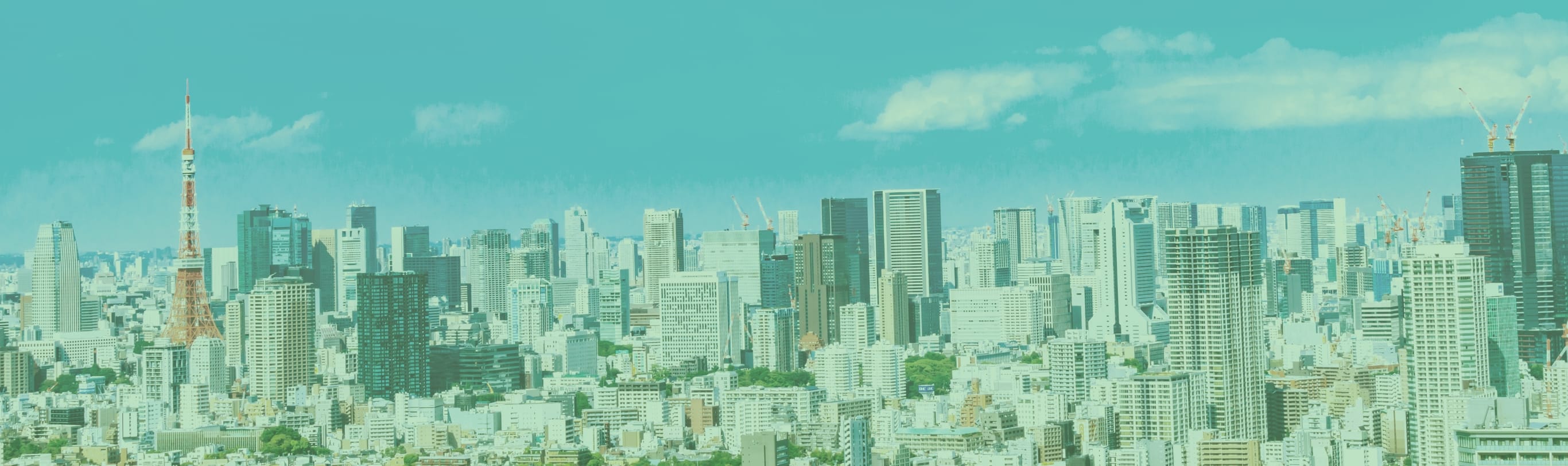 事業紹介
